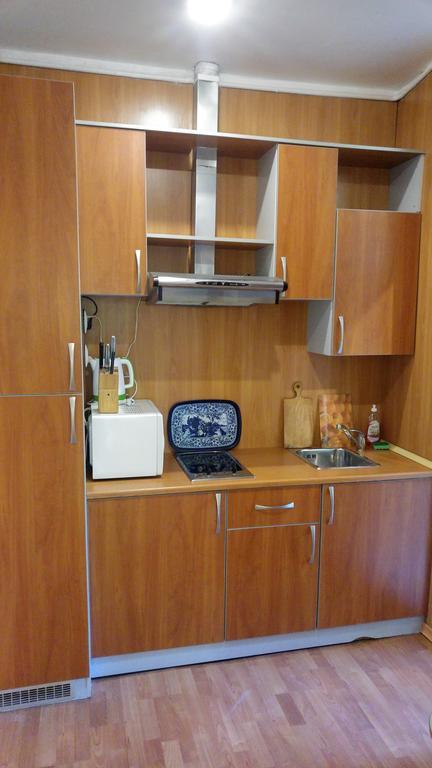 Apartement Kruglouniversitetska 2/1 キエフ エクステリア 写真